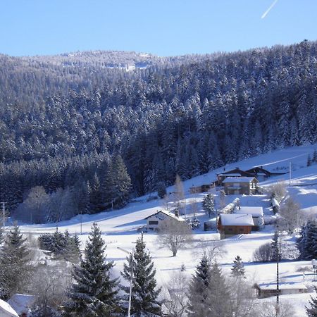 Chalet Renove Proche Du Valtin - Ideal Pour Famille, Randonnees Et Ski, Wifi, Luges Fournies - Fr-1-589-150 Ban-sur-Meurthe-Clefcy Dış mekan fotoğraf